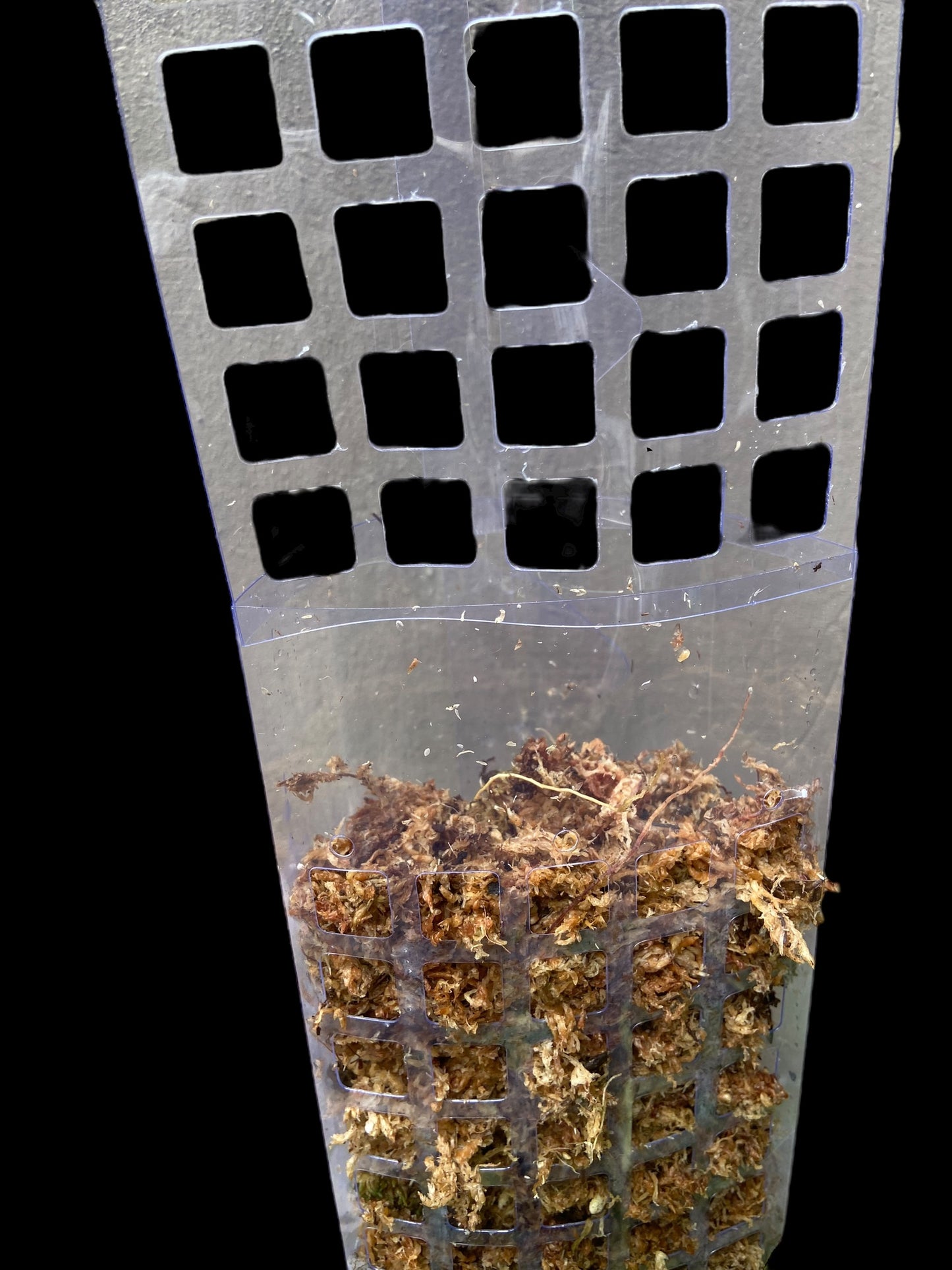 Transparent D-shape moss poles