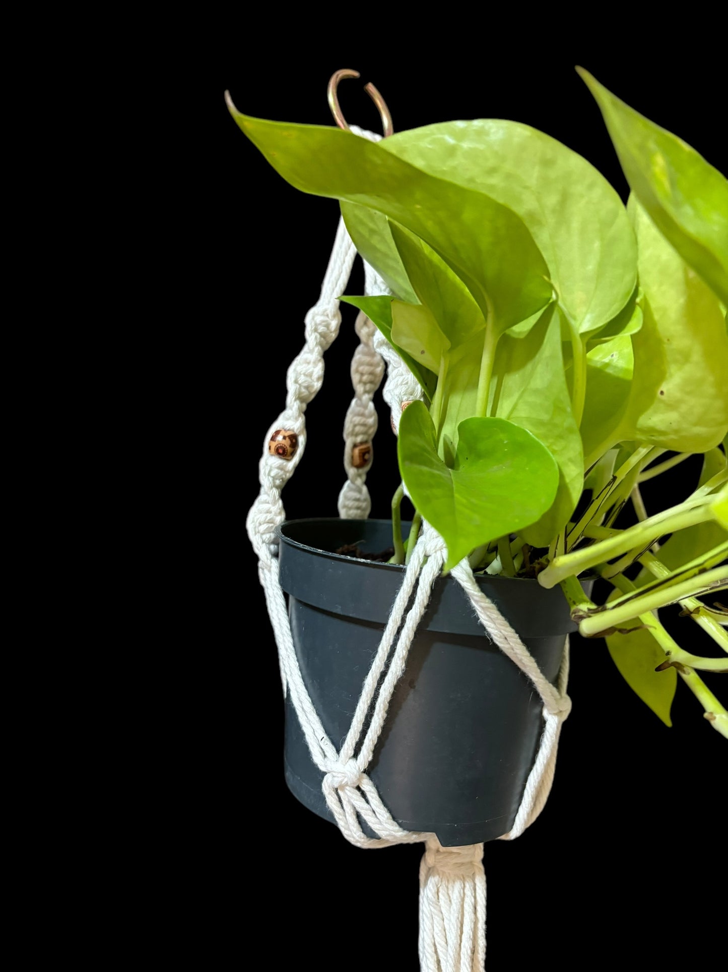 Dobby - Ivory macramé plant hanger