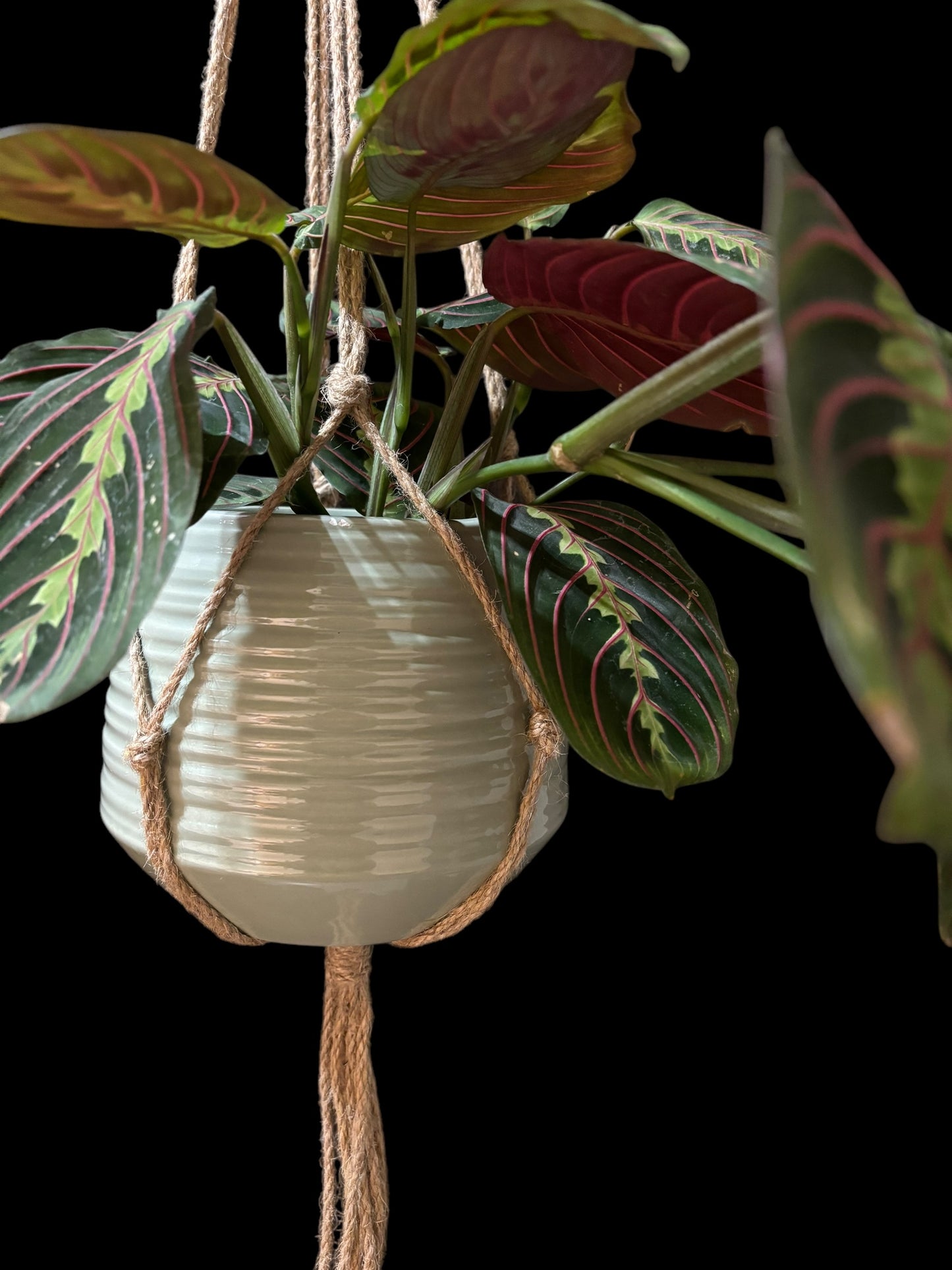 Hunchback of Knotre Dame - Jute macramé hanger