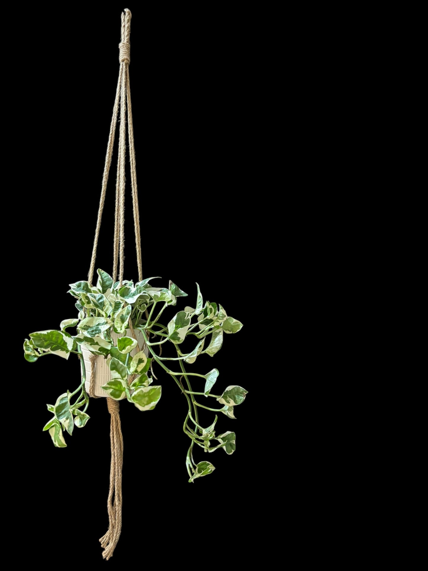 French plait - Jute macramé hanger