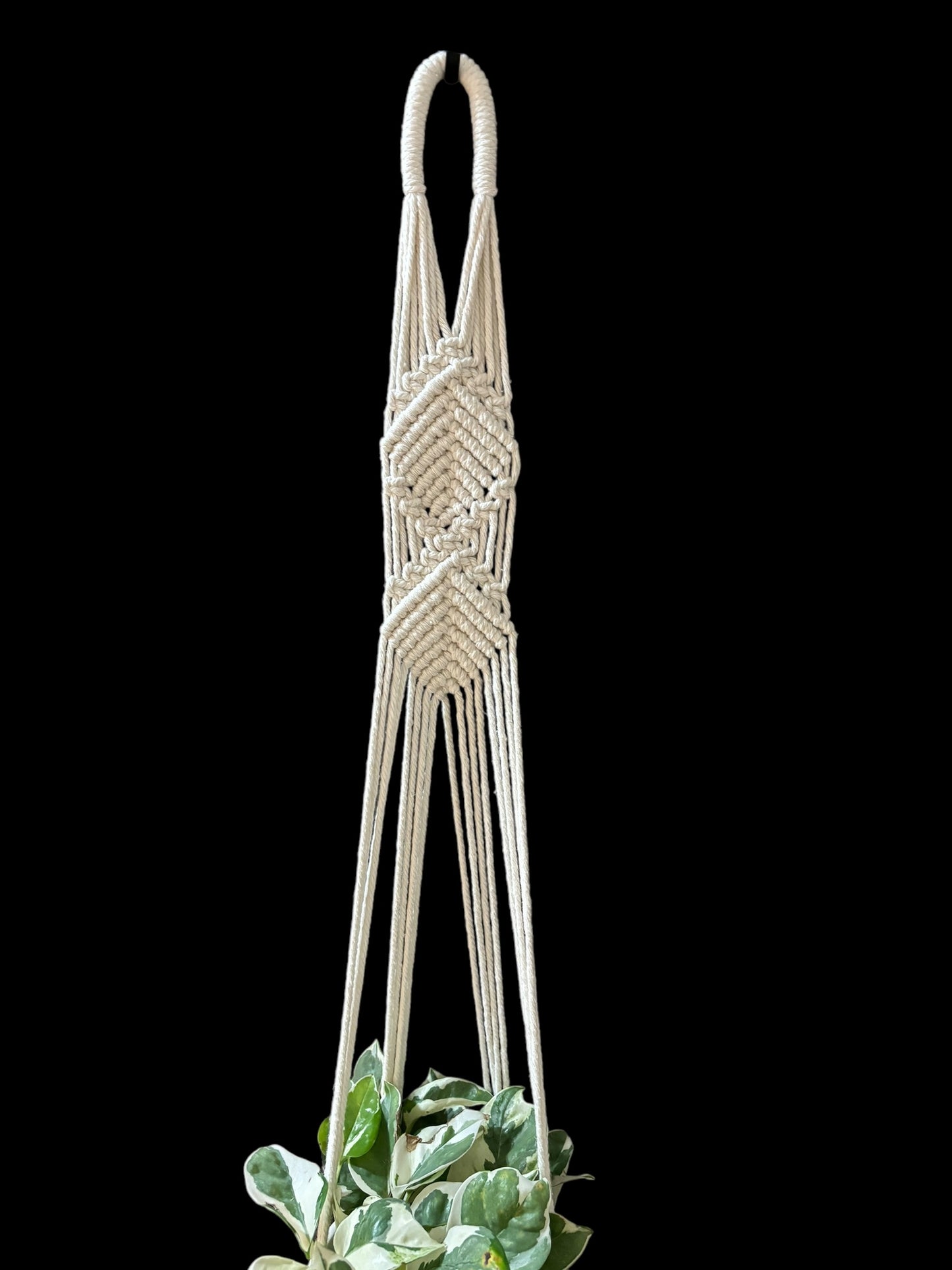 Doughknot - Ivory macramé plant hanger