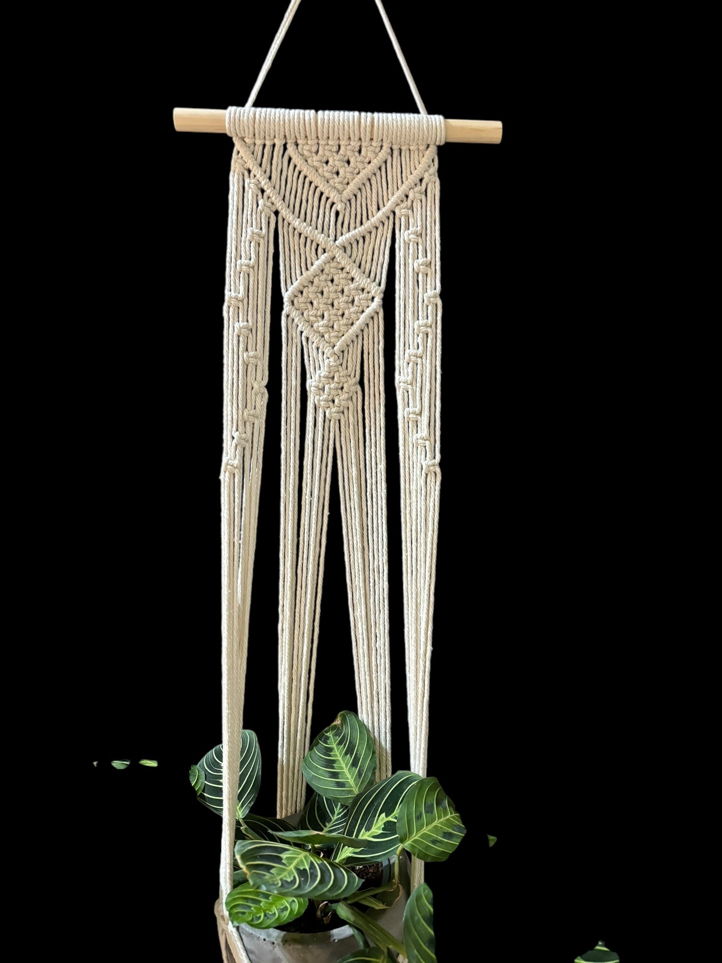 Knotaniël - Ivory macramé plant hanger
