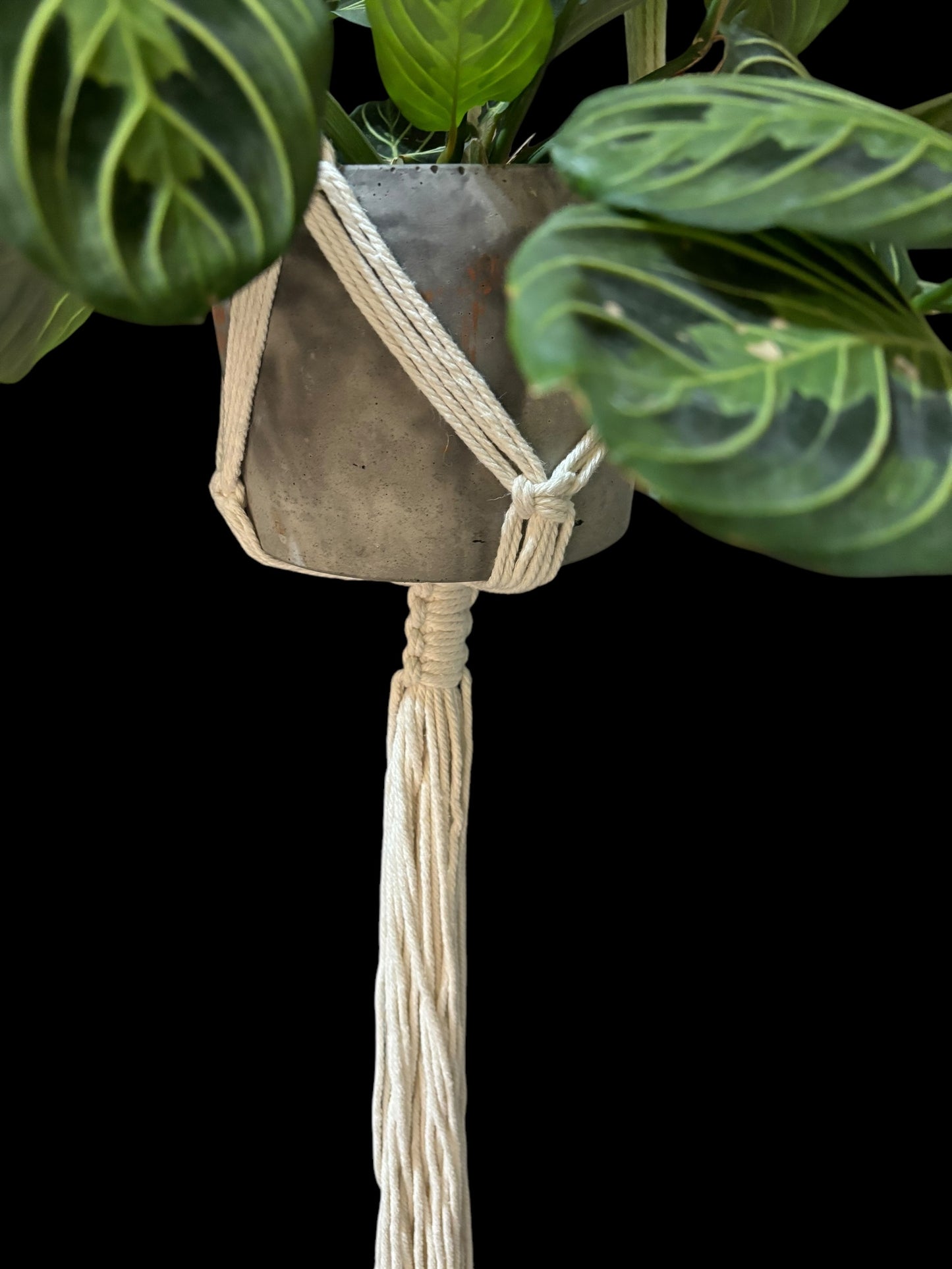 Knotaniël - Ivory macramé plant hanger