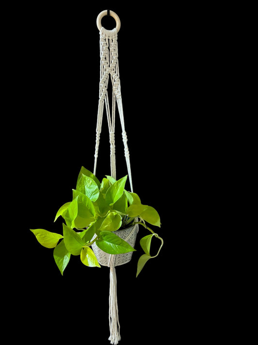 Ziggy-ziggy high - Ivory macramé plant hanger