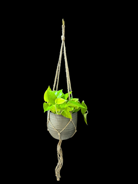 Forget me knot 1m - Jute macramé hanger