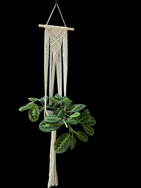 Knotaniël - Ivory macramé plant hanger