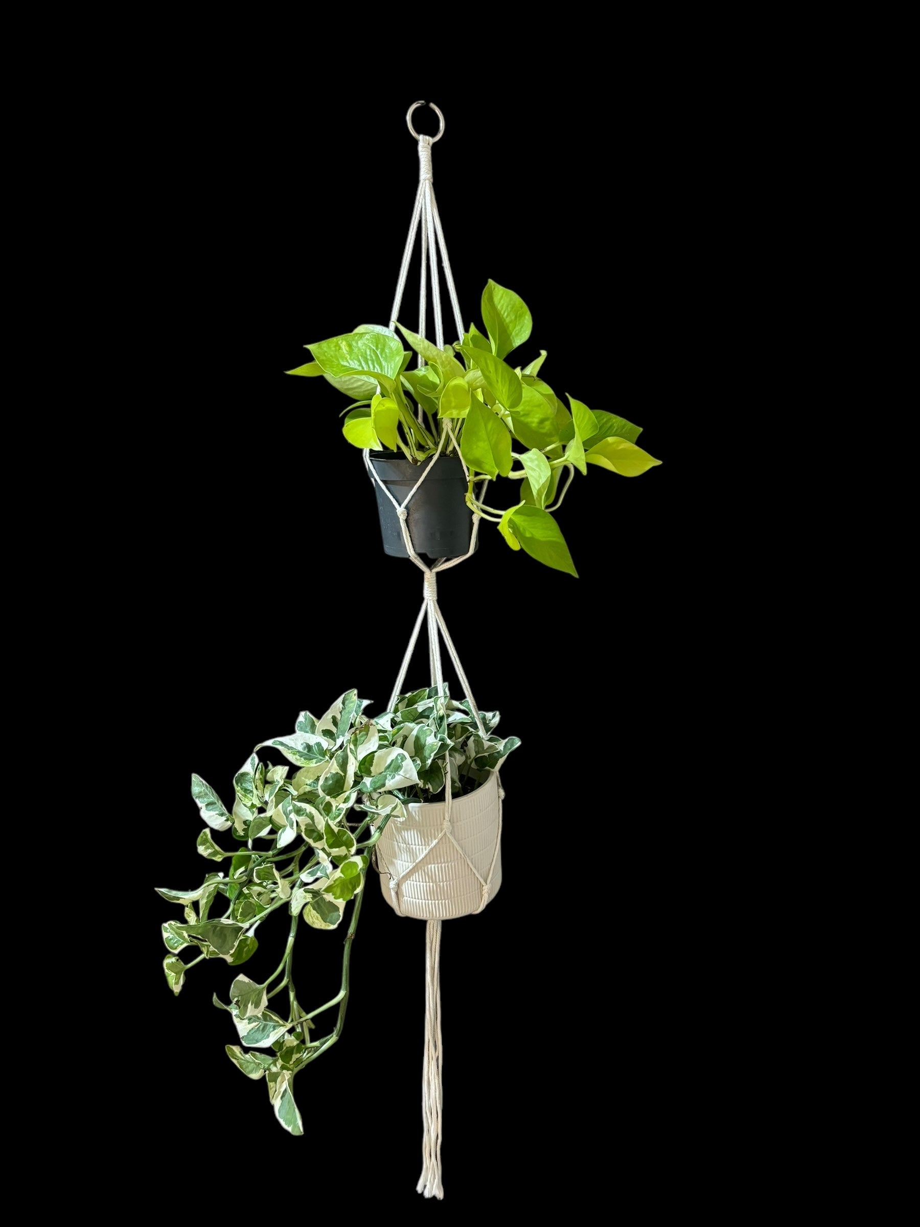 Nope rope - Ivory double pot macramé – GrowCo Nursery